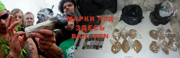 спиды Михайловск