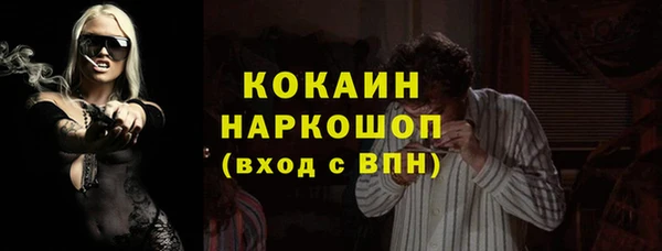 молекула духа Медвежьегорск