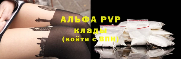 прущие грибы Михайловка