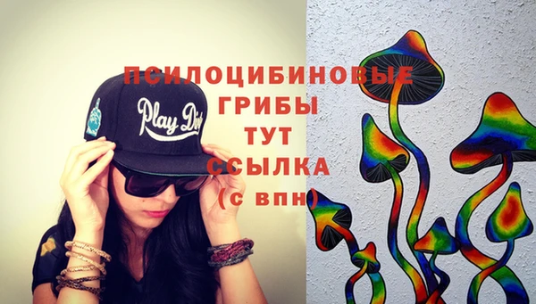 прущие грибы Михайловка