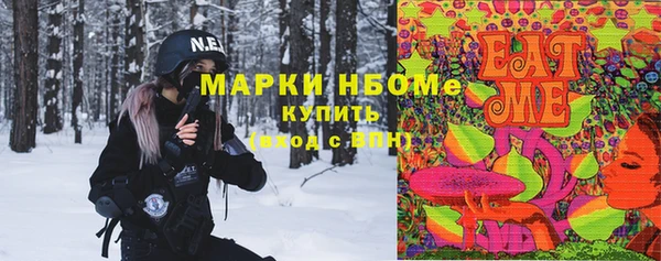 прущие грибы Михайловка