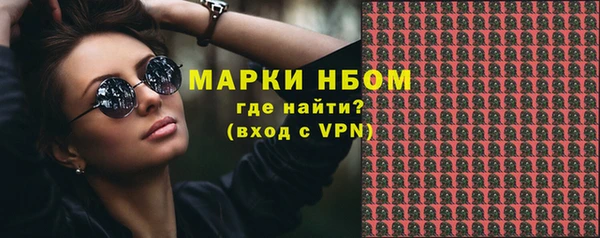 прущие грибы Михайловка