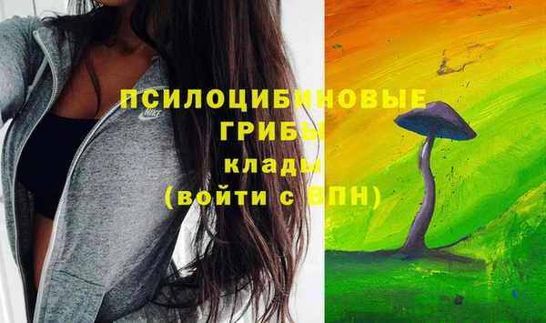 спиды Михайловск