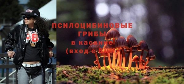 прущие грибы Михайловка