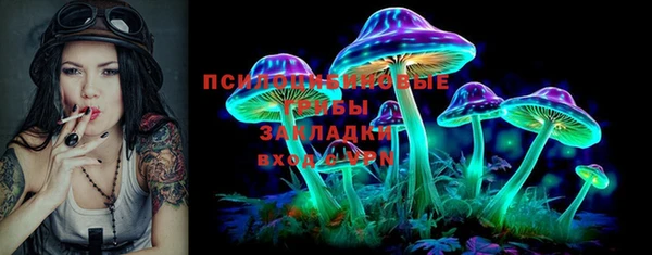 прущие грибы Михайловка
