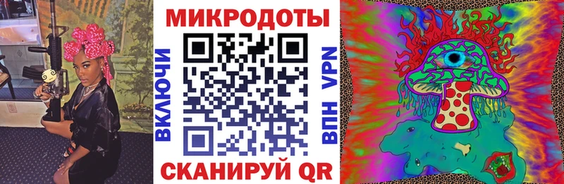 mega рабочий сайт Шилка Галлюциногенные грибы GOLDEN TEACHER