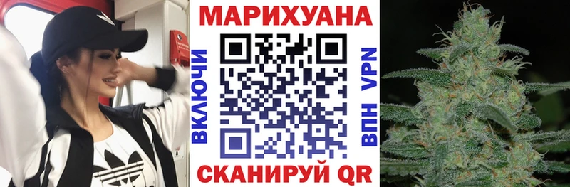 Конопля планчик  закладки  Шилка 